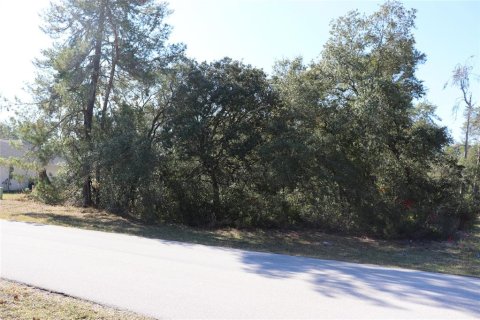 Terreno en venta en Ocala, Florida № 2093915 - foto 3