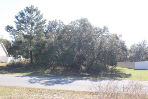 Terreno en venta en Ocala, Florida № 2093915 - foto 9