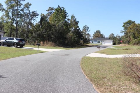 Terreno en venta en Ocala, Florida № 2093915 - foto 7