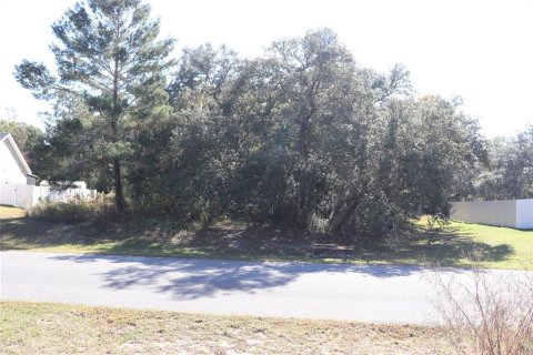 Terreno en venta en Ocala, Florida № 2093915 - foto 8