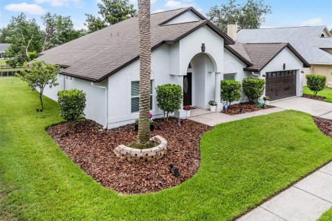 Casa en venta en Tampa, Florida, 4 dormitorios, 223.8 m2 № 1783449 - foto 4