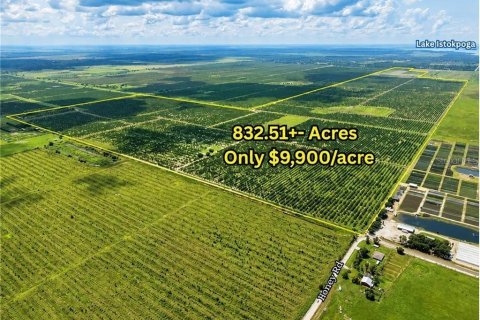 Land in Sebring, Florida № 2380664