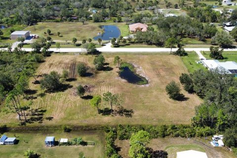 Terreno en venta en Punta Gorda, Florida № 1518564 - foto 5