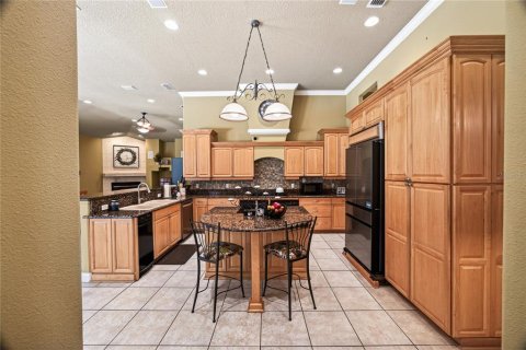 Villa ou maison à vendre à Ocala, Floride: 4 chambres, 343 m2 № 2122946 - photo 14
