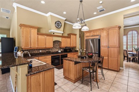 Villa ou maison à vendre à Ocala, Floride: 4 chambres, 343 m2 № 2122946 - photo 12
