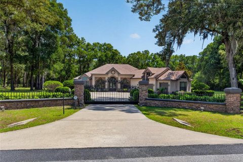 Villa ou maison à vendre à Ocala, Floride: 4 chambres, 343 m2 № 2122946 - photo 2