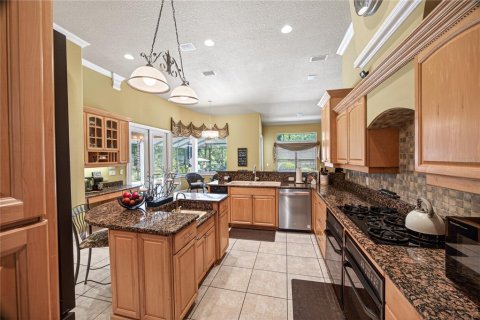 Villa ou maison à vendre à Ocala, Floride: 4 chambres, 343 m2 № 2122946 - photo 15
