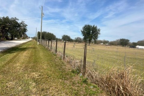 Terrain à Wauchula, Floride № 2221464