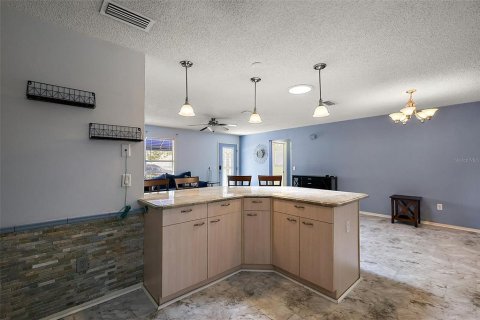 Villa ou maison à vendre à The Villages, Floride: 2 chambres, 106.84 m2 № 1792084 - photo 9