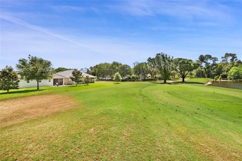 Land in Tavares, Florida № 1191350 - photo 17