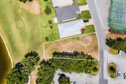 Land in Tavares, Florida № 1191350 - photo 29