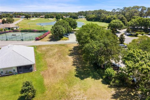 Land in Tavares, Florida № 1191350 - photo 6