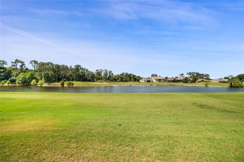 Land in Tavares, Florida № 1191350 - photo 16