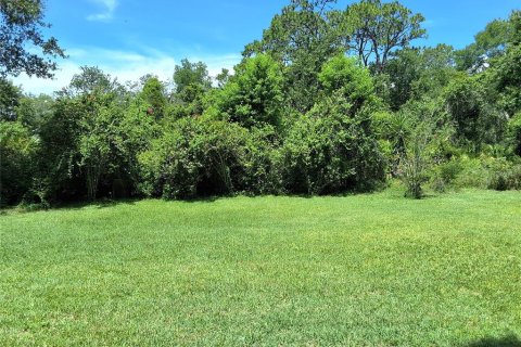 House in Tavares, Florida 3 bedrooms, 232.26 sq.m. № 1808947 - photo 8