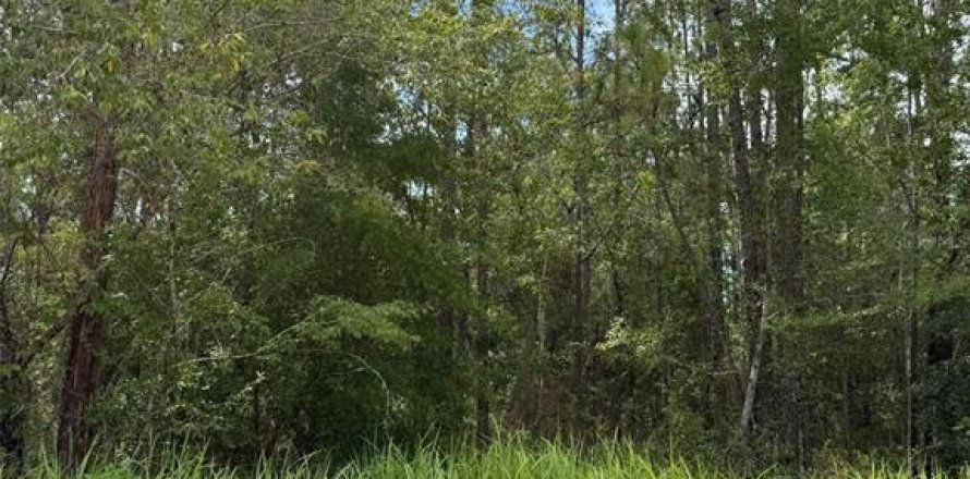Land in Dunnellon, Florida № 1870474