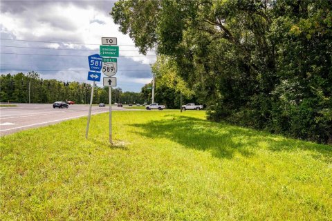 Terreno en venta en Brooksville, Florida № 1918876 - foto 13