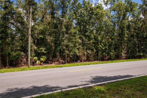 Terreno en venta en Brooksville, Florida № 1918876 - foto 12