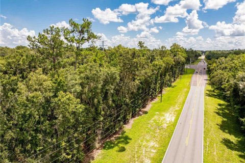 Terreno en venta en Brooksville, Florida № 1918876 - foto 2