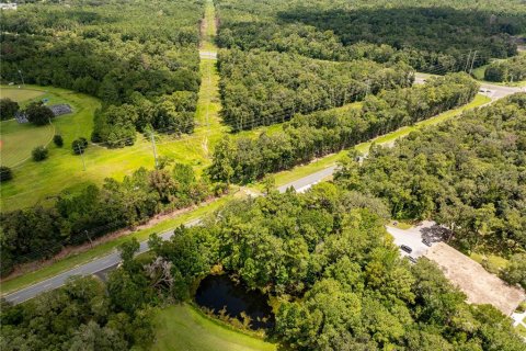 Terreno en venta en Brooksville, Florida № 1918876 - foto 4
