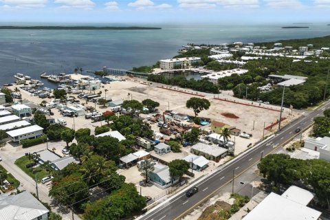 Купить коммерческую недвижимость в Ки-Ларго, Флорида № 2028302 - фото 4