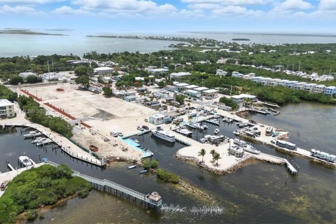 Купить коммерческую недвижимость в Ки-Ларго, Флорида № 2028302 - фото 6