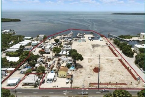 Коммерческая недвижимость в Ки-Ларго, Флорида № 2028302