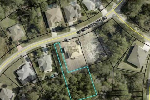 Land in Palm Coast, Florida № 2118588 - photo 2
