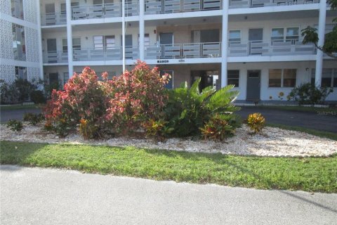 Condo in Saint Petersburg, Florida, 1 bedroom  № 1437943 - photo 1