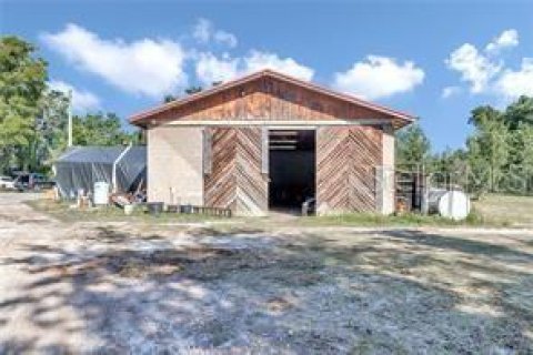 Купить коммерческую недвижимость в Окала, Флорида 463.58м2, № 1688121 - фото 7