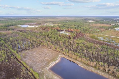 Купить виллу или дом в Пунта-Горда, Флорида 4 комнаты, 78.04м2, № 1532248 - фото 17