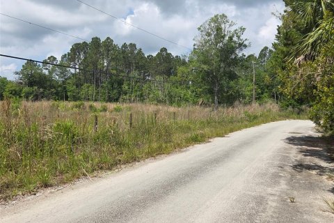 Land in Crystal River, Florida № 1744543 - photo 19