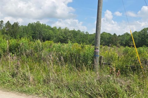 Land in Crystal River, Florida № 1744543 - photo 13
