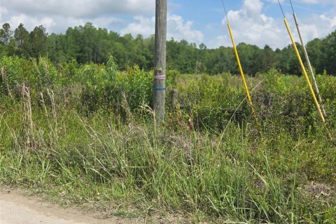 Land in Crystal River, Florida № 1744543 - photo 2