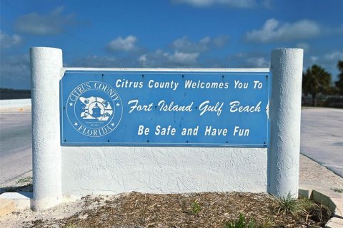 Land in Crystal River, Florida № 1744543 - photo 10