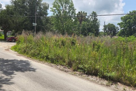 Land in Crystal River, Florida № 1744543 - photo 18