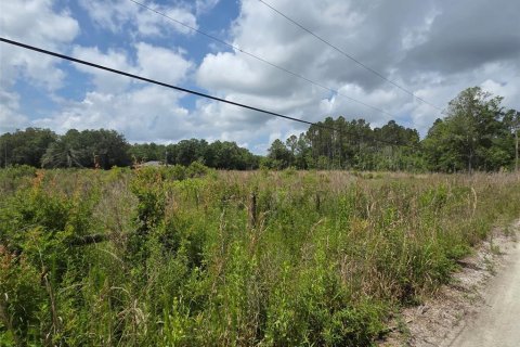 Land in Crystal River, Florida № 1744543 - photo 4