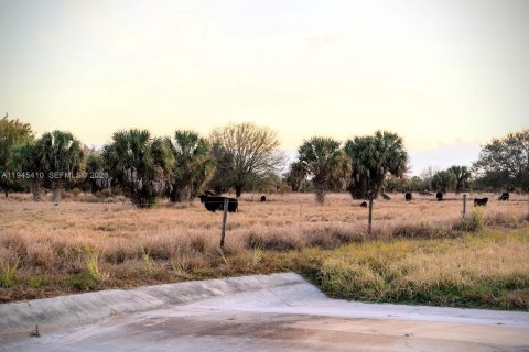 Propiedad comercial en venta en LaBelle, Florida № 2002264 - foto 8