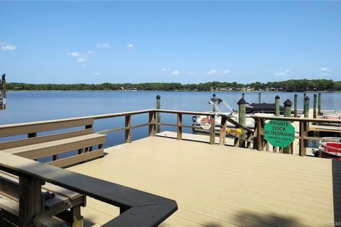 Casa en venta en Inverness, Florida, 2 dormitorios, 303.51 m2 № 2129463 - foto 11