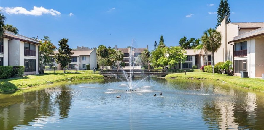 Condo in Tampa, Florida, 1 bedroom № 2205099