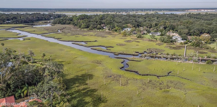 Terreno en Neptune Beach, Florida № 767750