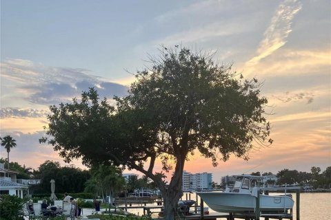 Casa en venta en Treasure Island, Florida, 4 dormitorios, 389.07 m2 № 2216568 - foto 6