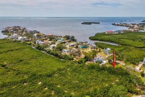 Купить земельный участок в Тарпон-Спрингс, Флорида № 1650896 - фото 6
