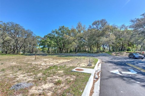 Commercial property in Seffner, Florida № 1217837 - photo 22
