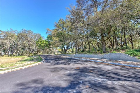 Commercial property in Seffner, Florida № 1217837 - photo 17