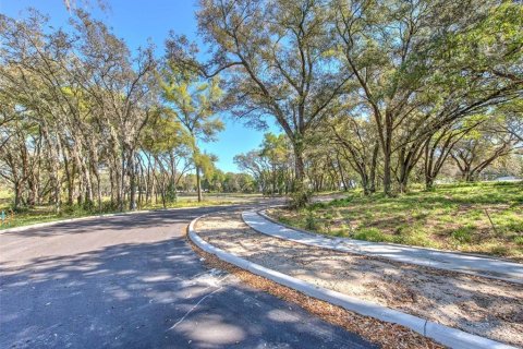 Commercial property in Seffner, Florida № 1217837 - photo 15