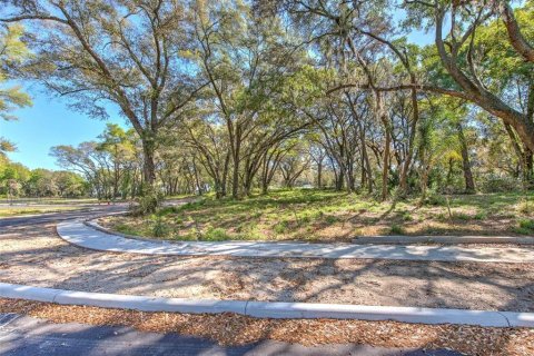 Commercial property in Seffner, Florida № 1217837 - photo 16