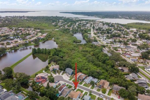 House in Oldsmar, Florida 2 bedrooms, 126.35 sq.m. № 1805519 - photo 25