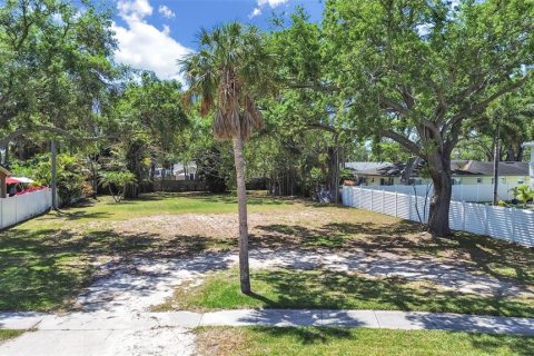 Land in Saint Petersburg, Florida № 2206479
