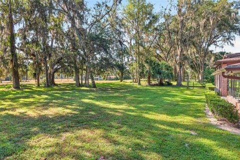 Villa ou maison à vendre à Gainesville, Floride: 3 chambres, 349.68 m2 № 2398691 - photo 13