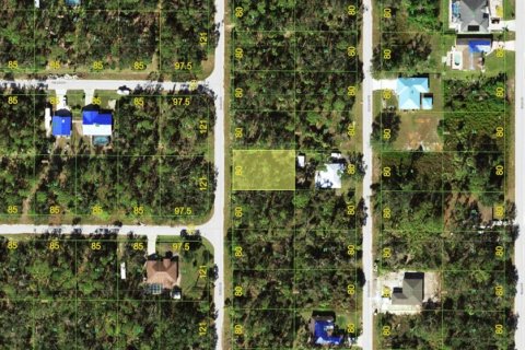 Land in Port Charlotte, Florida № 2162361 - photo 2